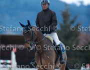 Quality Tosc Tour2013- S5 1853 : Arezzo, Cavalli d'Italia, Quality Up, Toscana Tour 2013, foto di Stefano Secchi ©